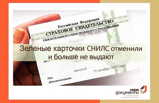 Как выглядит новый снилс